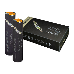 White Caiman 2 stuks