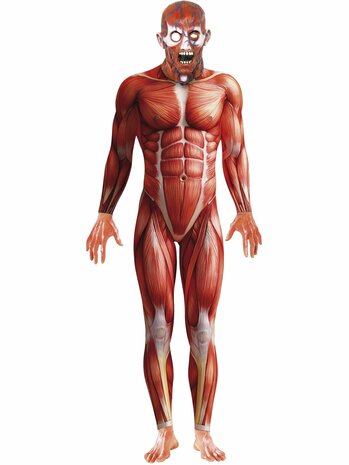 Anatomy man costume