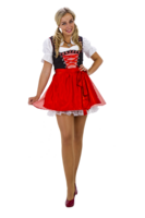 Dirndl wit/rood geruit met schort